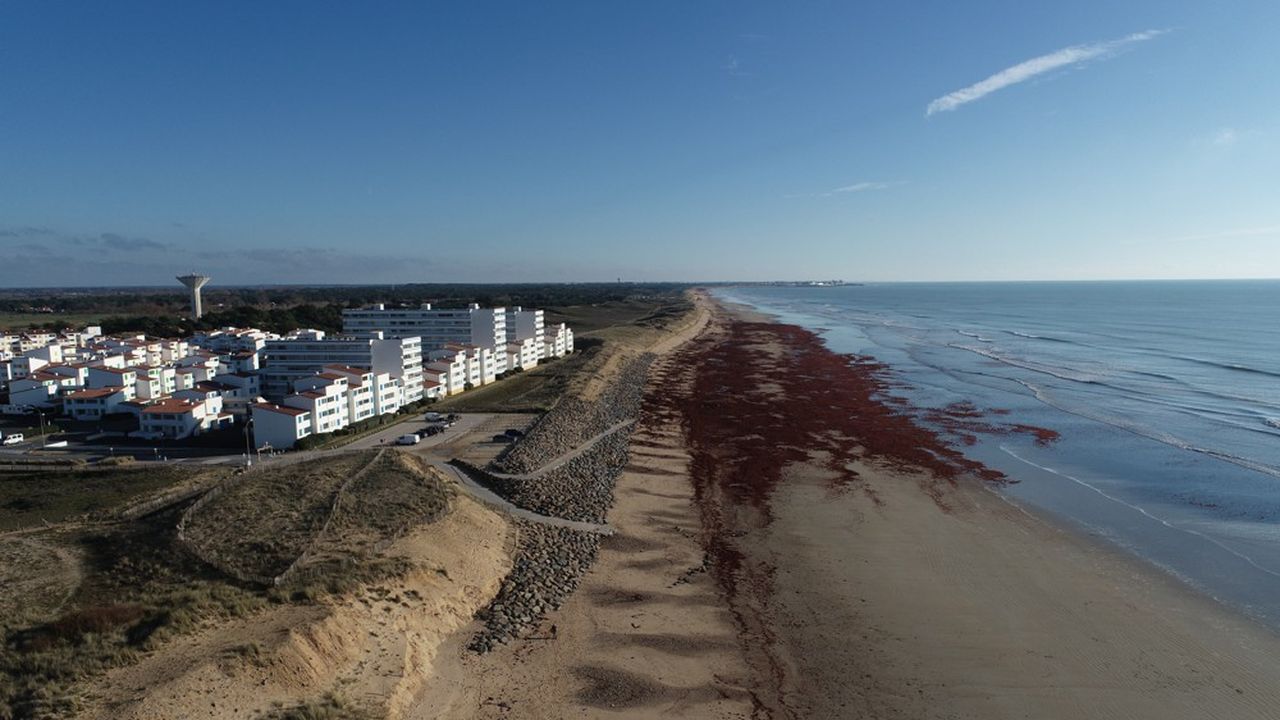 Les immeubles plage des Mouettes à Saint-Hilaire-de-Riez sont menacés par l'érosion de la dune à leurs pieds.