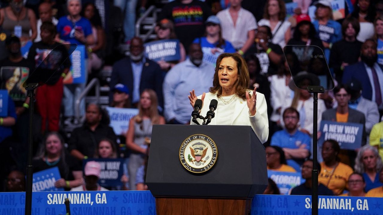 2024 US presidential election: Kamala Harris wants to appoint Republicans to government if elected