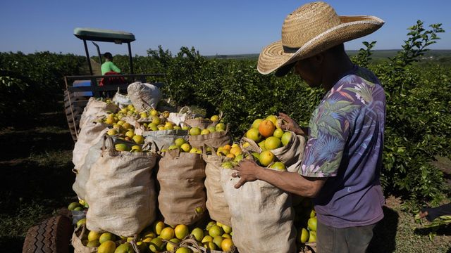 Pourquoi la flambée des prix du jus d'orange est loin d'être terminée