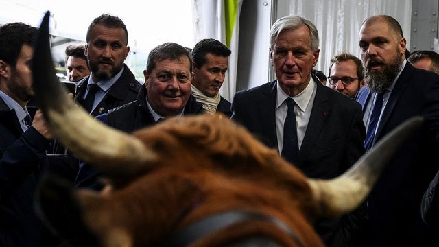 Michel Barnier promet une aide d'urgence de 75 millions d'euros aux éleveurs d'ovins