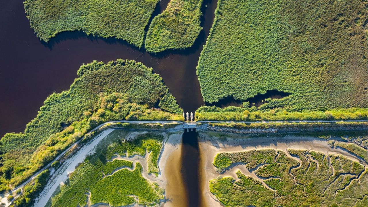 Alerte rouge sur la qualité de l'eau douce en Europe