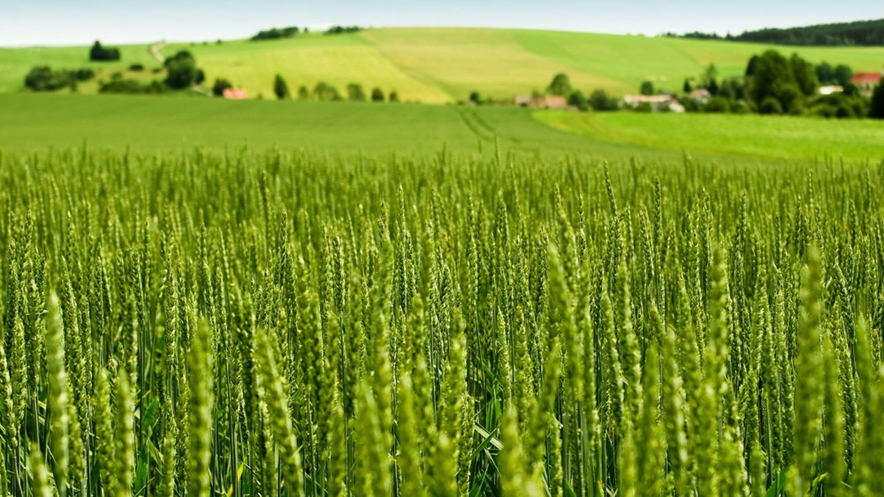 Comment réconcilier agriculture et biodiversité