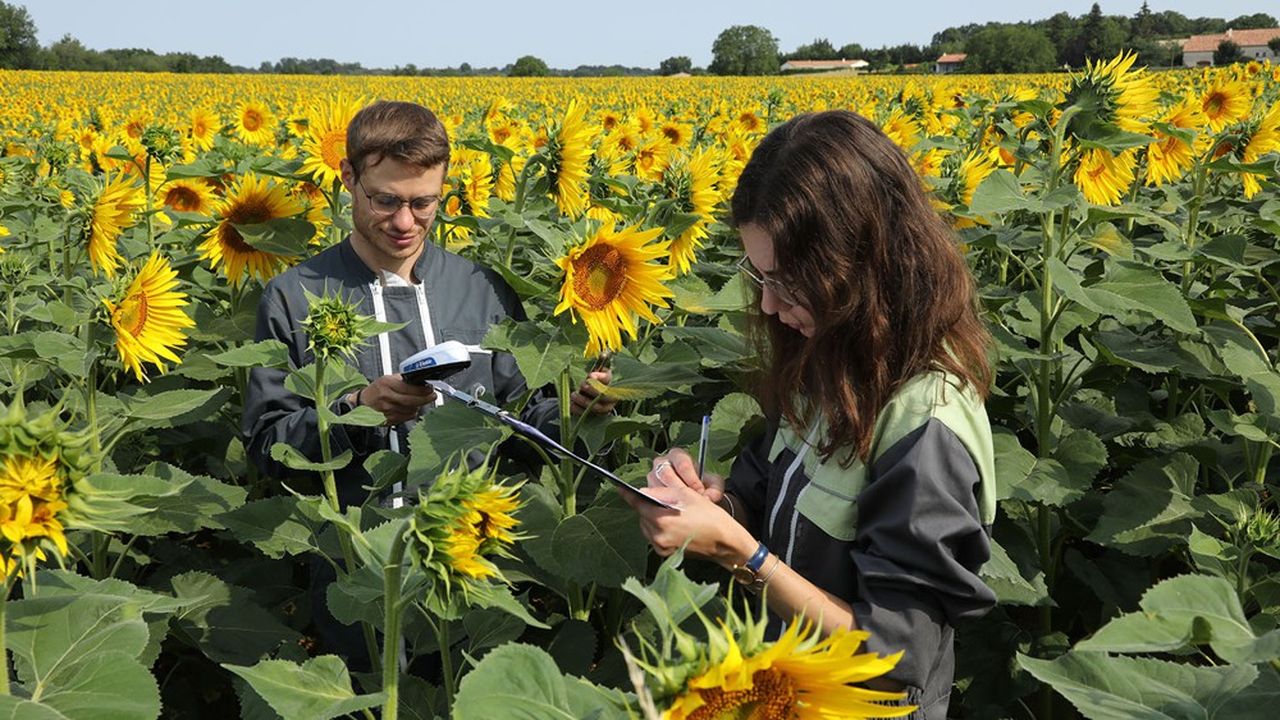 Elicit Plant lève 45 millions pour stimuler l'agriculture durable avec ses produits biosourcés