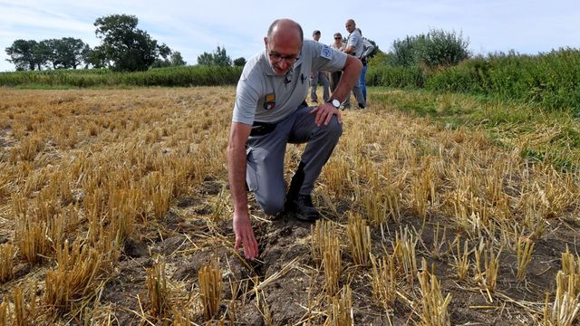 Agriculture : le débat monte sur la fréquence réelle des contrôles dans les fermes