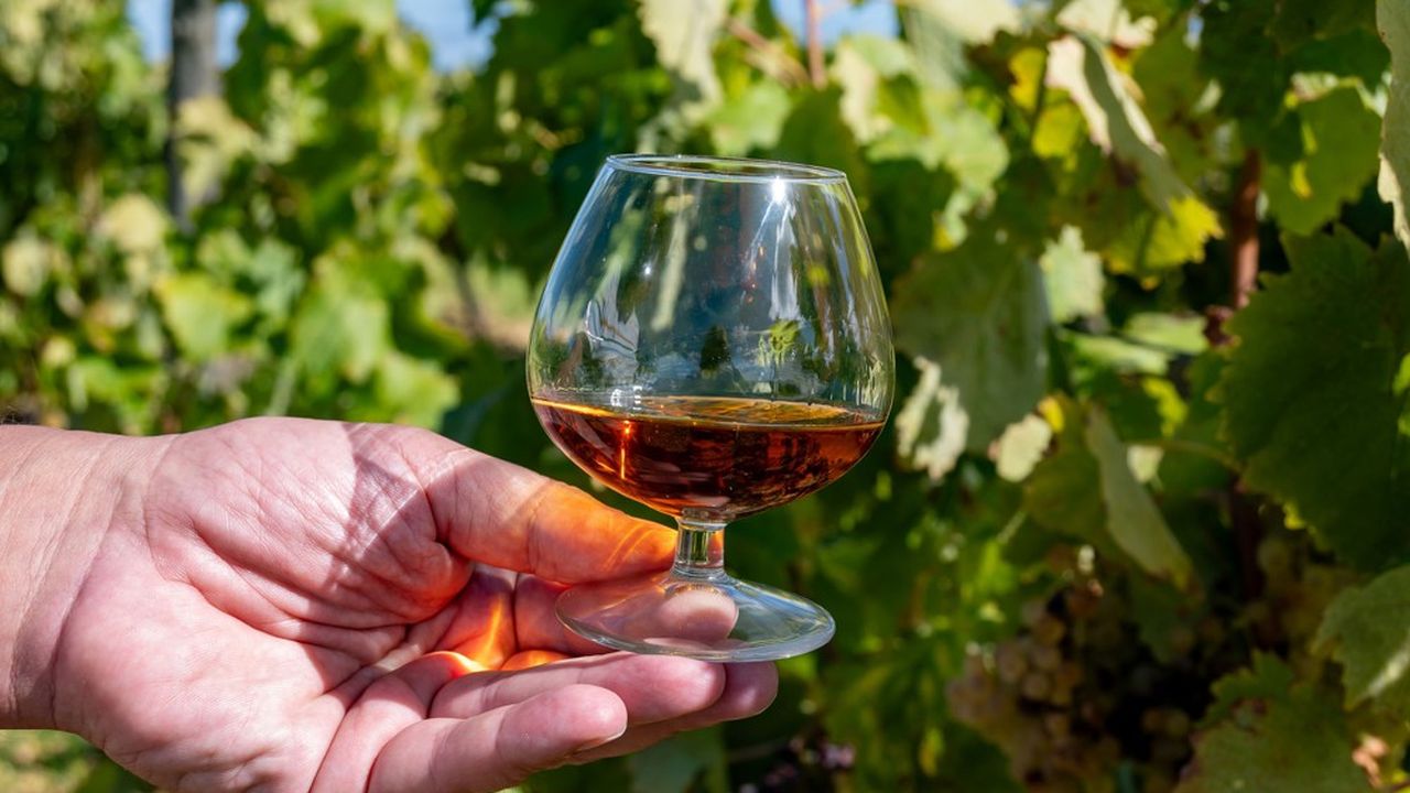 Le groupe de spiritueux Rémy Cointreau, fabricant du cognac Rémy Martin, a annoncé ce jeudi un chiffre d'affaires en recul de 16,2 % sur un an à 534 millions d'euros au premier semestre 2024-2025.